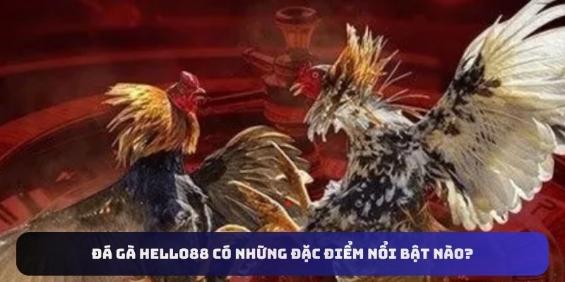 Đá gà Hello88 có những đặc điểm nổi bật nào?