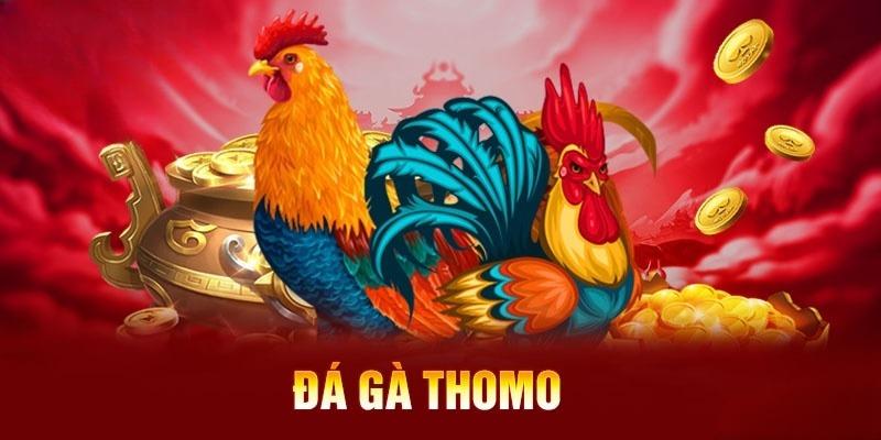 Đá Gà Thomo